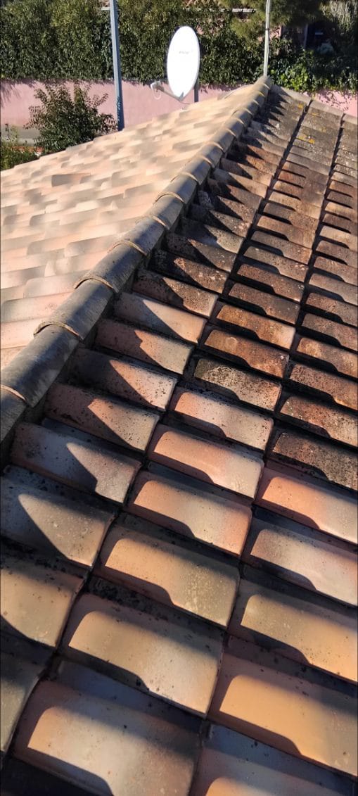 Démoussage de toiture